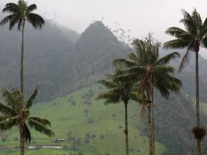 nevados1